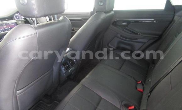 Tenga Tsaru Land Rover Range Rover Evoque Chena Mota in Lusaka in Zambia Tenga Tsaru Land Rover Range Rover Evoque Chena Mota in Lusaka in Zambia