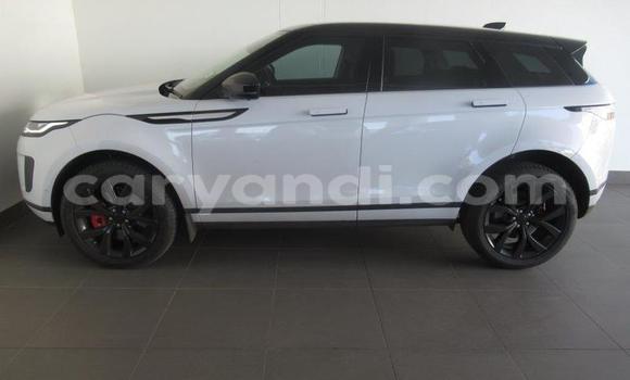 Tenga Tsaru Land Rover Range Rover Evoque Chena Mota in Lusaka in Zambia Tenga Tsaru Land Rover Range Rover Evoque Chena Mota in Lusaka in Zambia