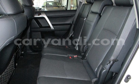 Tenga Tsaru Toyota Prado Chena Mota in Chingola in Zambia Tenga Tsaru Toyota Prado Chena Mota in Chingola in Zambia