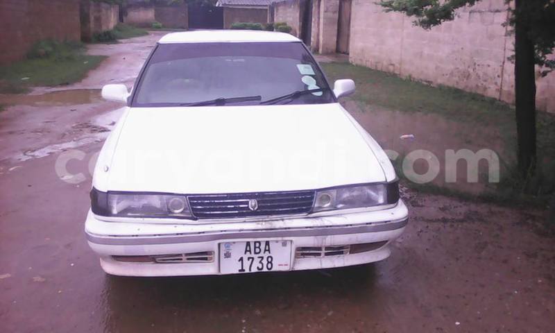 Big with watermark 2016 12 31 04 04 12 20161228 150053 800 640 0