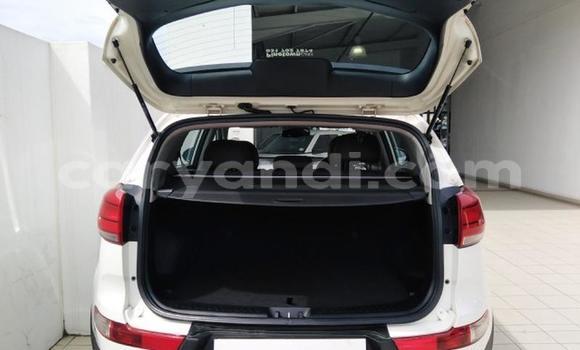 Buy Used Kia Sportage White Car in Mazabuka in Southern Buy Used Kia Sportage White Car in Mazabuka in Southern