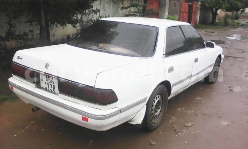 Big with watermark 2016 12 31 04 04 12 20161228 150003 800 640 0