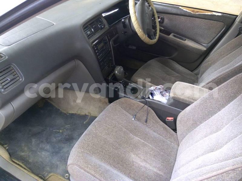 Big with watermark 2016 12 31 04 04 12 20161228 150003 800 640 0