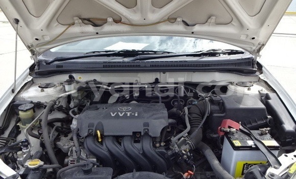 Buy Used Toyota Runx White Car in Lusaka in Zambia Buy Used Toyota Runx White Car in Lusaka in Zambia