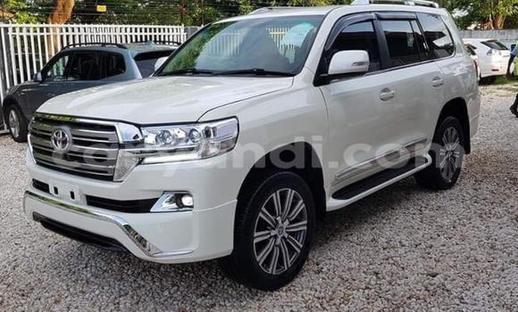 Acheter Occasion Voiture Toyota Land Cruiser Blanc à Lusaka, Zambie Acheter Occasion Voiture Toyota Land Cruiser Blanc à Lusaka, Zambie