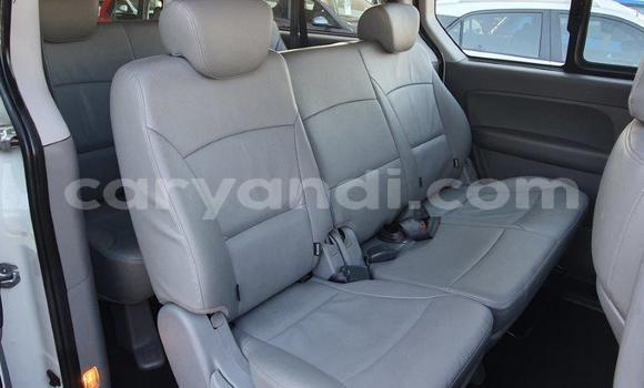 Tenga Tsaru Hyundai H1 Chena Mota in Livingstone in Zambia Tenga Tsaru Hyundai H1 Chena Mota in Livingstone in Zambia