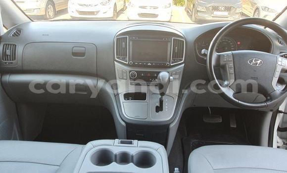 Tenga Tsaru Hyundai H1 Chena Mota in Livingstone in Zambia Tenga Tsaru Hyundai H1 Chena Mota in Livingstone in Zambia