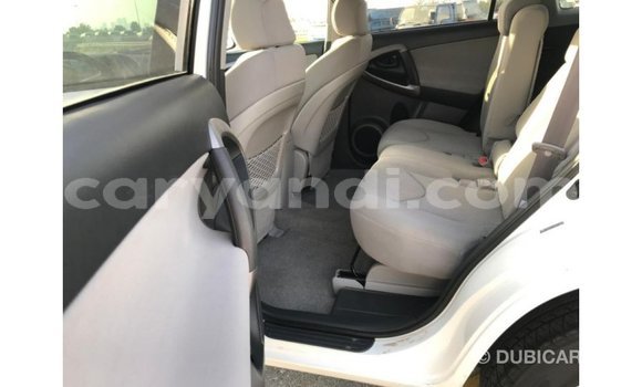 Buy Import Toyota Nadia White Car in Import - Dubai in Zambia Buy Import Toyota Nadia White Car in Import - Dubai in Zambia