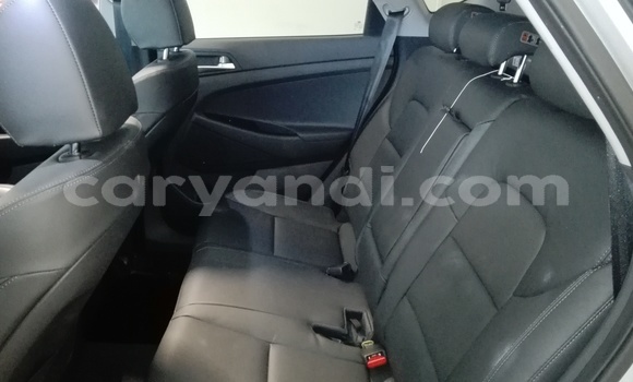 Tenga Tsaru Mercedes–Benz Tipper Chena Rori in Livingstone in Zambia Tenga Tsaru Mercedes–Benz Tipper Chena Rori in Livingstone in Zambia