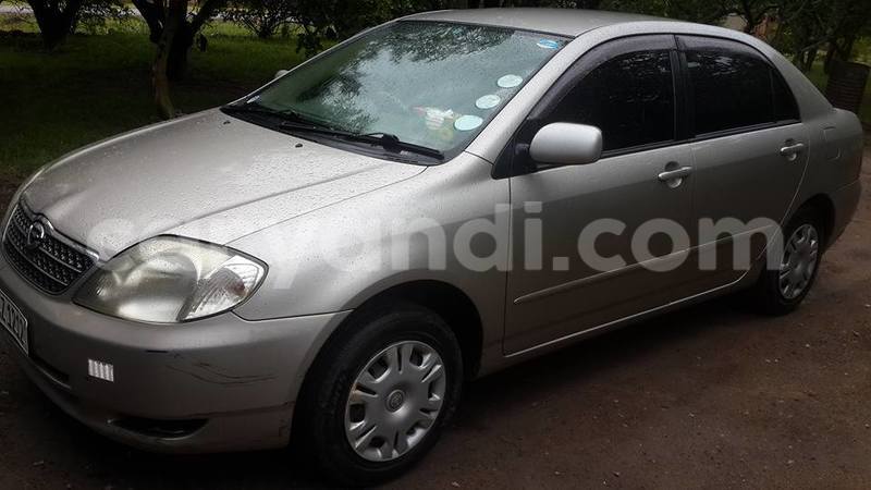 Big with watermark 15284065 1129442633839910 5230908860684797680 n