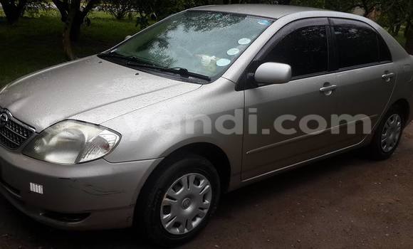 Buy Used Toyota Corolla Other Car in Chipata in Zambia Buy Used Toyota Corolla Other Car in Chipata in Zambia