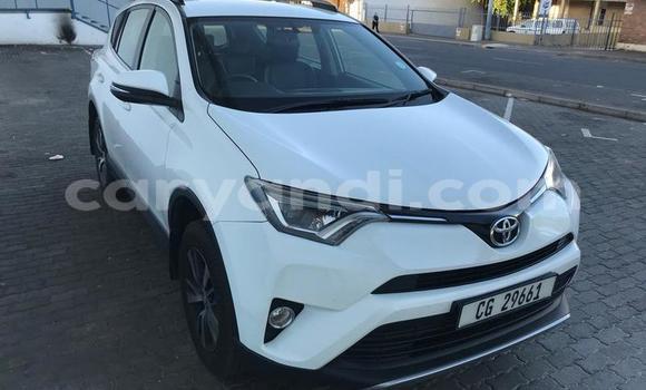 Tenga Tsaru Toyota RAV4 Chena Mota in Chingola in Zambia Tenga Tsaru Toyota RAV4 Chena Mota in Chingola in Zambia