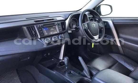 Tenga Tsaru Toyota RAV4 Chena Mota in Chingola in Zambia Tenga Tsaru Toyota RAV4 Chena Mota in Chingola in Zambia