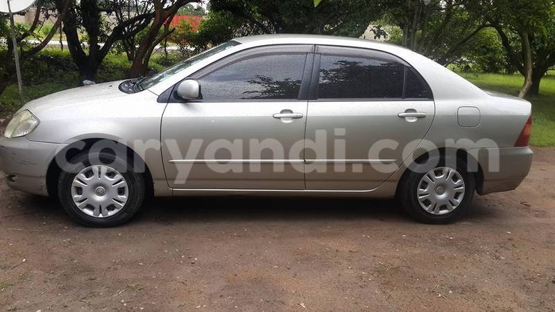 Big with watermark 15285033 1129442643839909 5134408343826197814 n