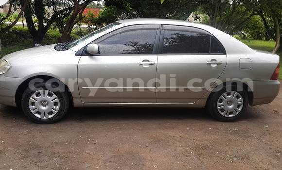 Buy Used Toyota Corolla Other Car in Chipata in Zambia Buy Used Toyota Corolla Other Car in Chipata in Zambia