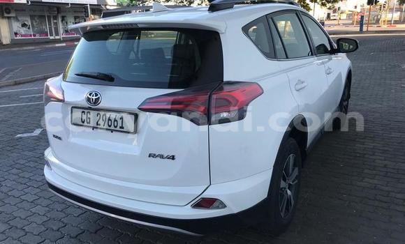 Tenga Tsaru Toyota RAV4 Chena Mota in Chingola in Zambia Tenga Tsaru Toyota RAV4 Chena Mota in Chingola in Zambia