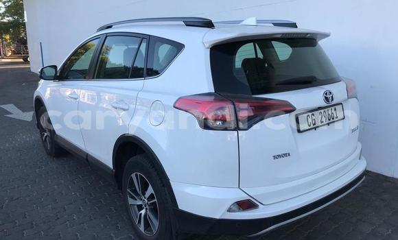 Tenga Tsaru Toyota RAV4 Chena Mota in Chingola in Zambia Tenga Tsaru Toyota RAV4 Chena Mota in Chingola in Zambia