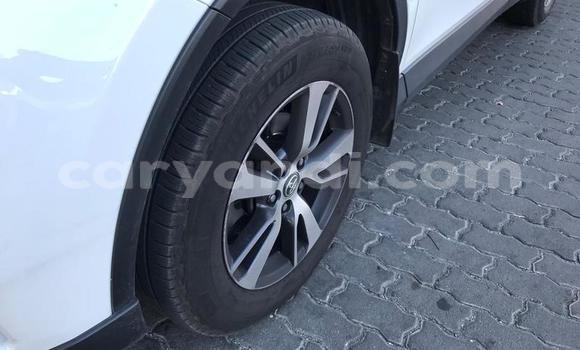 Tenga Tsaru Toyota RAV4 Chena Mota in Chingola in Zambia Tenga Tsaru Toyota RAV4 Chena Mota in Chingola in Zambia