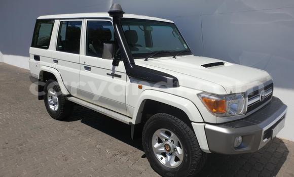 Tenga Tsaru Toyota Land Cruiser Chena Mota in Mazabuka in Southern Tenga Tsaru Toyota Land Cruiser Chena Mota in Mazabuka in Southern