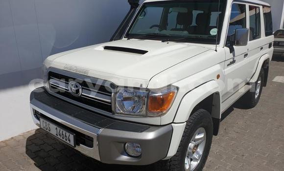 Tenga Tsaru Toyota Land Cruiser Chena Mota in Mazabuka in Southern Tenga Tsaru Toyota Land Cruiser Chena Mota in Mazabuka in Southern