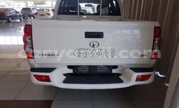 Tenga Tsaru Great Wall Safe Chena Mota in Mazabuka in Southern Tenga Tsaru Great Wall Safe Chena Mota in Mazabuka in Southern