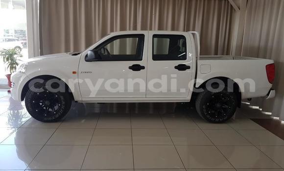 Tenga Tsaru Great Wall Safe Chena Mota in Mazabuka in Southern Tenga Tsaru Great Wall Safe Chena Mota in Mazabuka in Southern