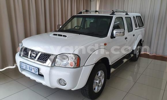 Buy Used Nissan NP 300 White Car in Mazabuka in Southern Buy Used Nissan NP 300 White Car in Mazabuka in Southern