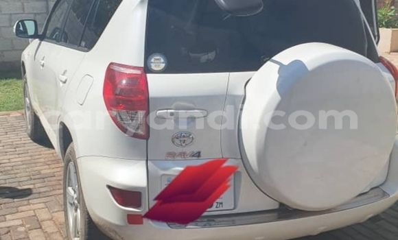 Tenga Tsaru Toyota RAV4 Chena Mota in Lusaka in Zambia Tenga Tsaru Toyota RAV4 Chena Mota in Lusaka in Zambia