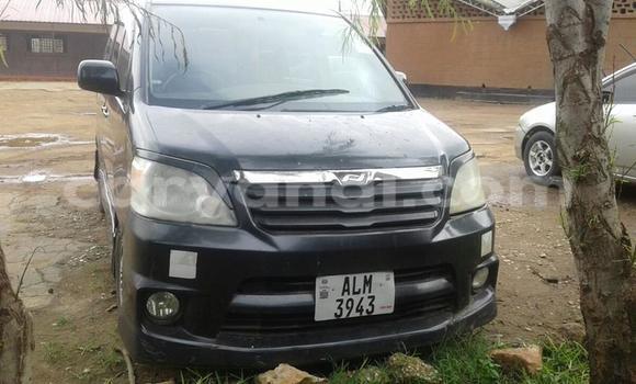 Buy Used Toyota Noah Black Car in Chipata in Zambia Buy Used Toyota Noah Black Car in Chipata in Zambia