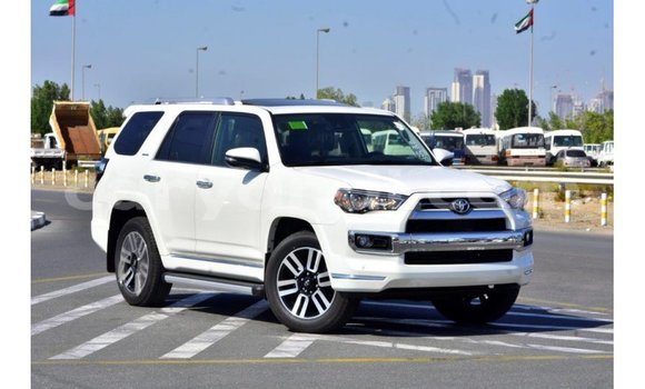 Buy Import Toyota Nadia White Car in Import - Dubai in Zambia Buy Import Toyota Nadia White Car in Import - Dubai in Zambia