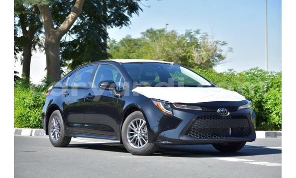 Buy Import Toyota Corolla Black Car in Import - Dubai in Zambia Buy Import Toyota Corolla Black Car in Import - Dubai in Zambia