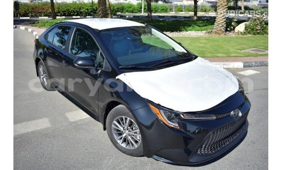 Buy Import Toyota Corolla Black Car in Import - Dubai in Zambia Buy Import Toyota Corolla Black Car in Import - Dubai in Zambia