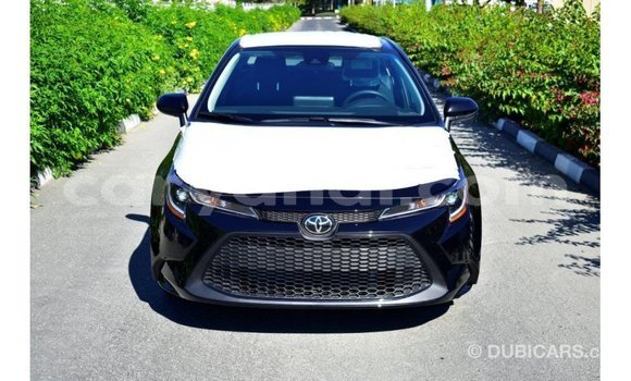 Buy Import Toyota Corolla Black Car in Import - Dubai in Zambia Buy Import Toyota Corolla Black Car in Import - Dubai in Zambia