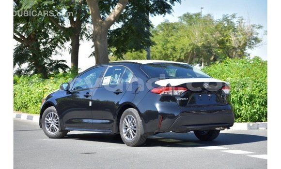 Buy Import Toyota Corolla Black Car in Import - Dubai in Zambia Buy Import Toyota Corolla Black Car in Import - Dubai in Zambia