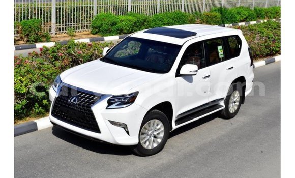 Buy Import Lexus GX White Car in Import - Dubai in Zambia Buy Import Lexus GX White Car in Import - Dubai in Zambia