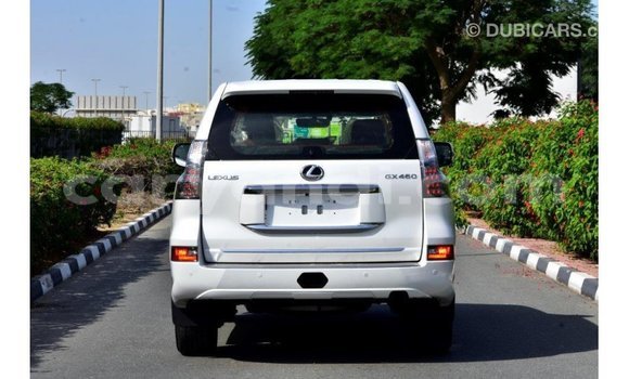 Buy Import Lexus GX White Car in Import - Dubai in Zambia Buy Import Lexus GX White Car in Import - Dubai in Zambia