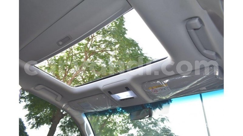 Big with watermark toyota land cruiser zambia import dubai 9791