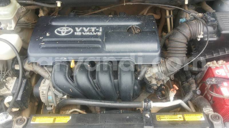 Big with watermark 15578737 1281570078576389 5086098407229006862 n