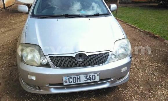 Tenga Tsaru Toyota Runx Sirivha Mota in Chipata in Zambia Tenga Tsaru Toyota Runx Sirivha Mota in Chipata in Zambia