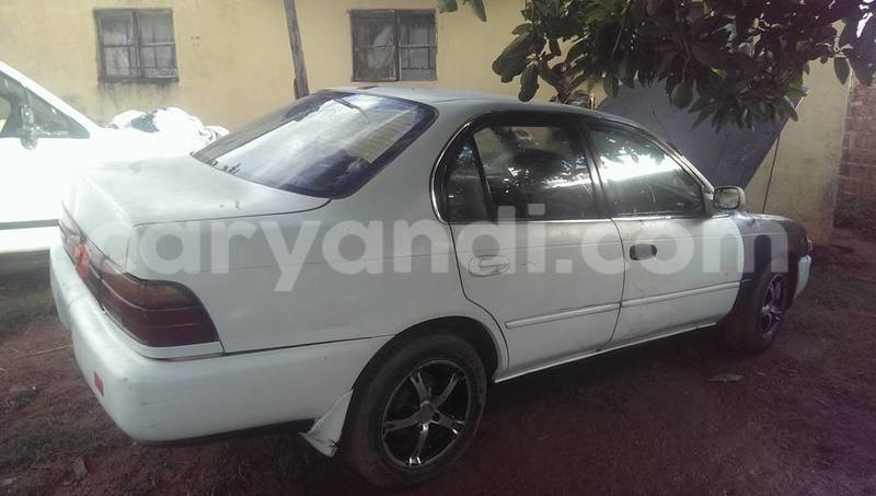 Big with watermark 15285033 1129442643839909 5134408343826197814 n