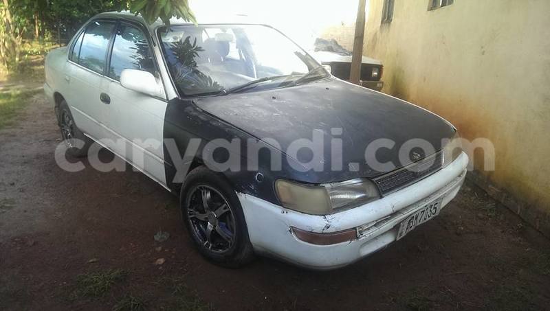 Big with watermark 15590123 1873629849587474 5620022596992670559 n