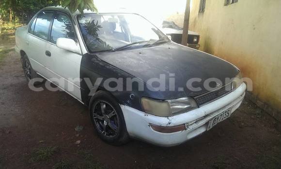 Buy Used Toyota Corolla White Car in Chipata in Zambia Buy Used Toyota Corolla White Car in Chipata in Zambia