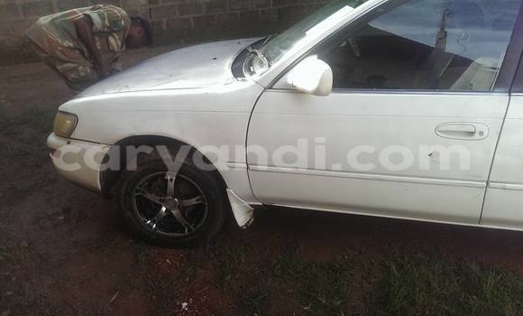 Buy Used Toyota Corolla White Car in Chipata in Zambia Buy Used Toyota Corolla White Car in Chipata in Zambia