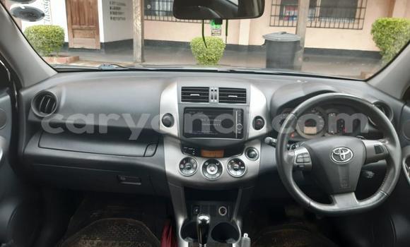 Buy Used Toyota Vanguard Blue Car in Lusaka in Zambia Buy Used Toyota Vanguard Blue Car in Lusaka in Zambia