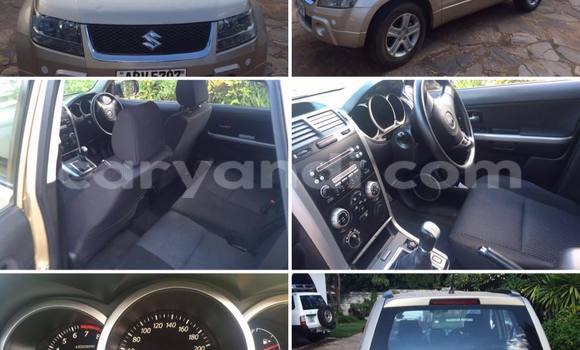 Buy Used Suzuki Grand Vitara Other Car in Chipata in Zambia
