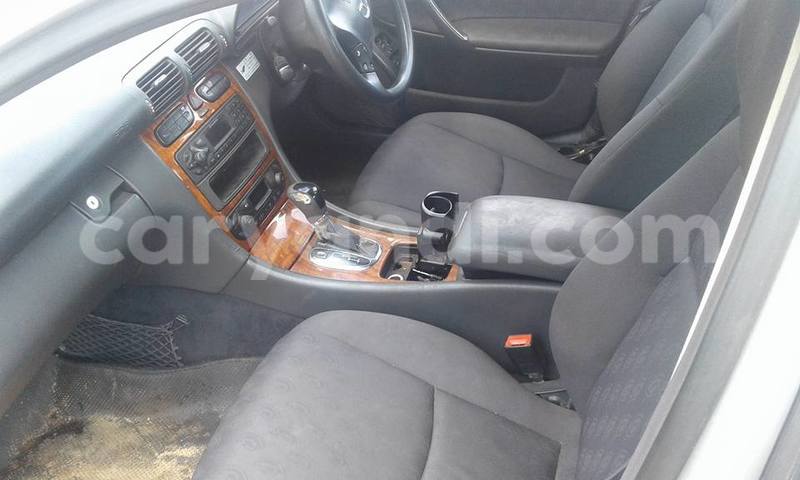 Big with watermark 15578737 1281570078576389 5086098407229006862 n