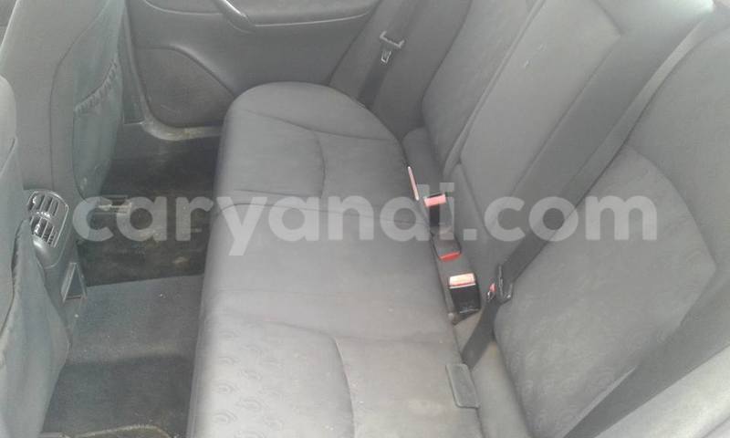 Big with watermark 15590123 1873629849587474 5620022596992670559 n