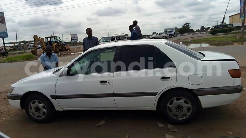 Big with watermark 16195545 964543743682119 5411391990017441485 n