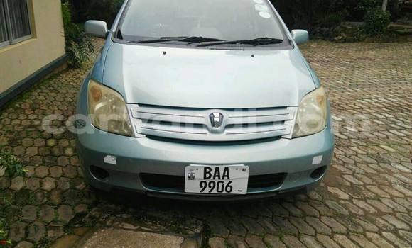Buy Used Toyota IST Other Car in Chipata in Zambia Buy Used Toyota IST Other Car in Chipata in Zambia