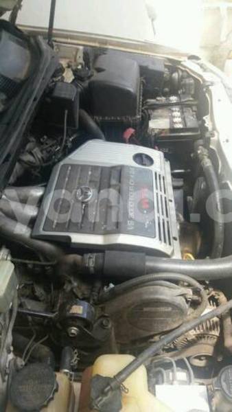 Big with watermark 16195545 964543743682119 5411391990017441485 n